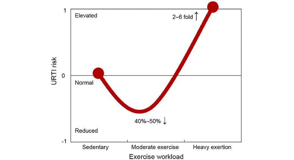 Exercise Immunity J Curve