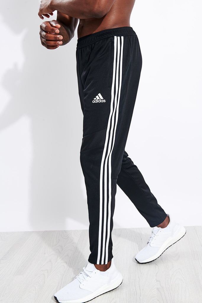 Adidas | Tiro 19 Training Pant - Black 