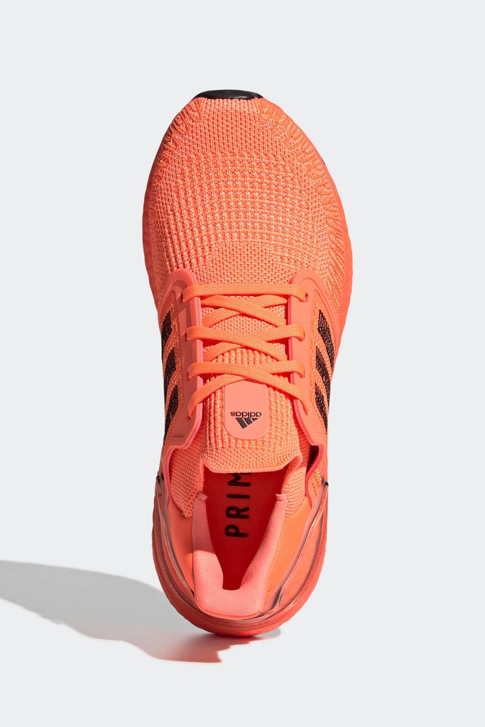 women's adidas coral shoes
