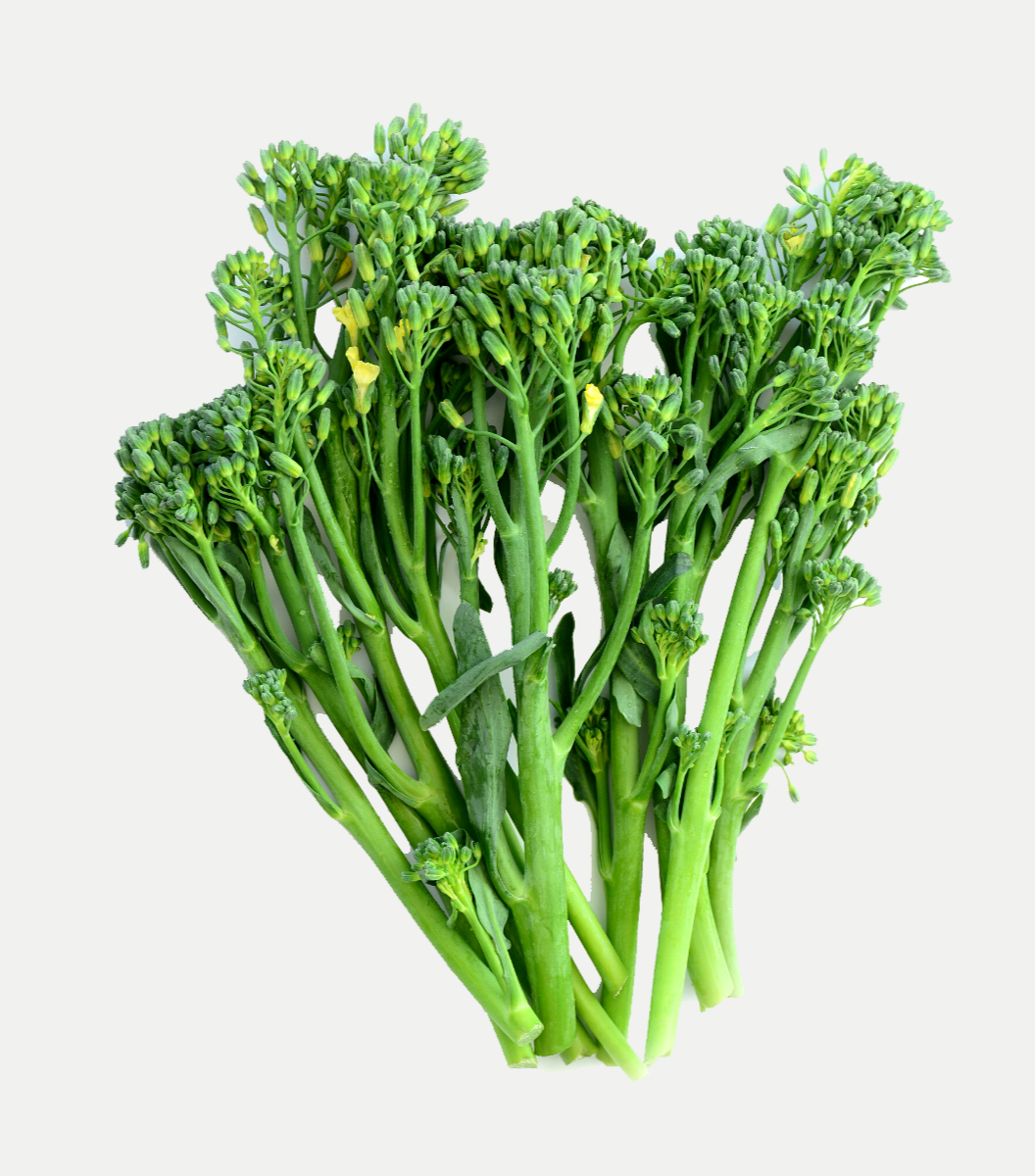 Tenderstem Broccolini – Sasha's Fine Foods