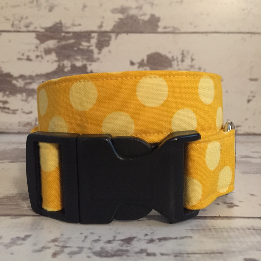 sunshine dog collar