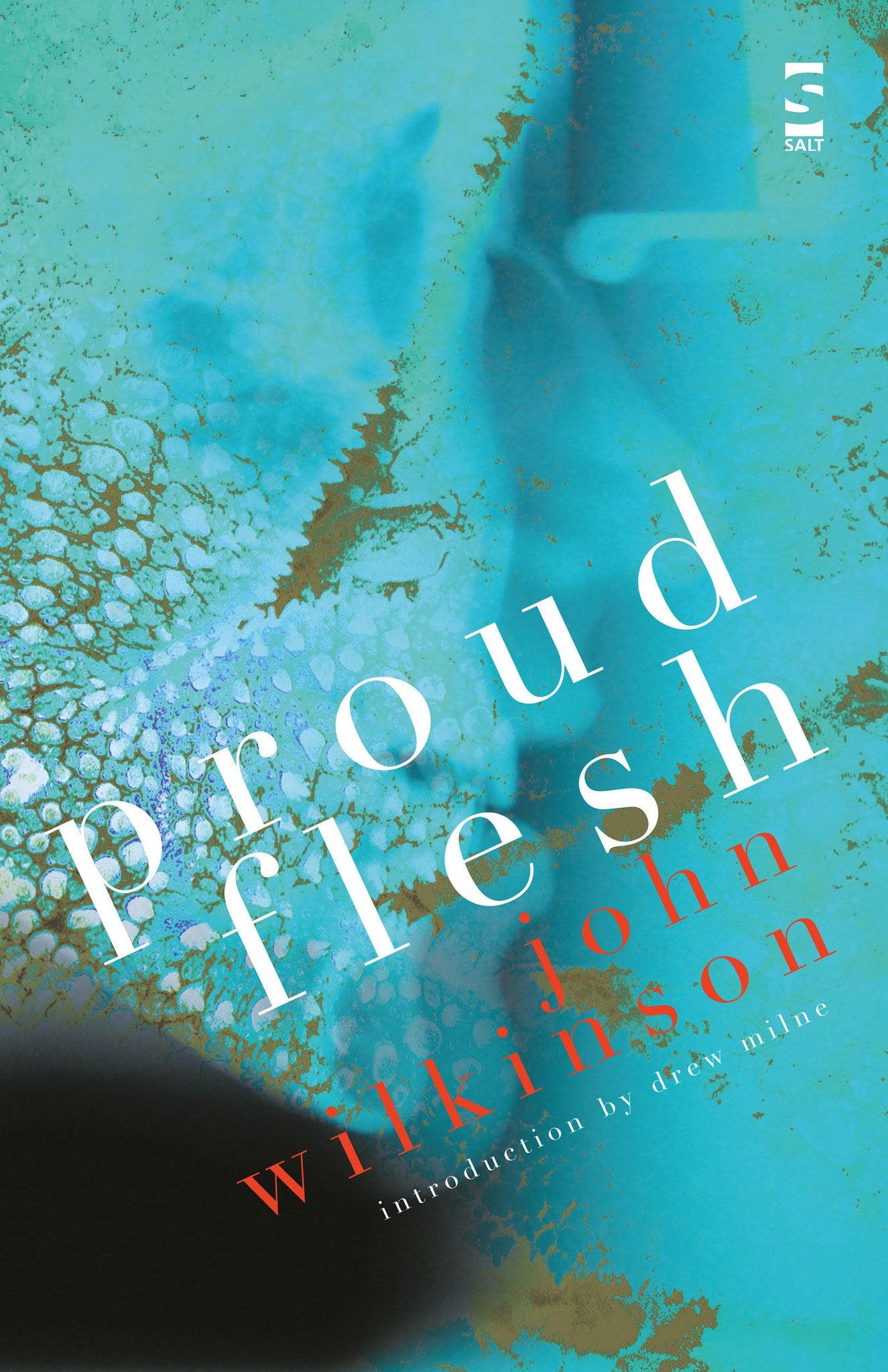 proud flesh