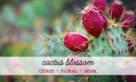 Cactus Blossom Collection