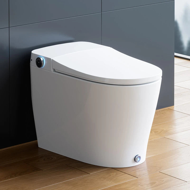 HOROW one-piece bidet toilet