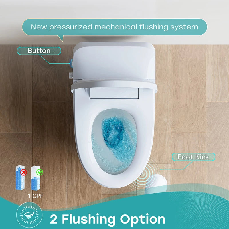 T30 bidet toilet Top Picks