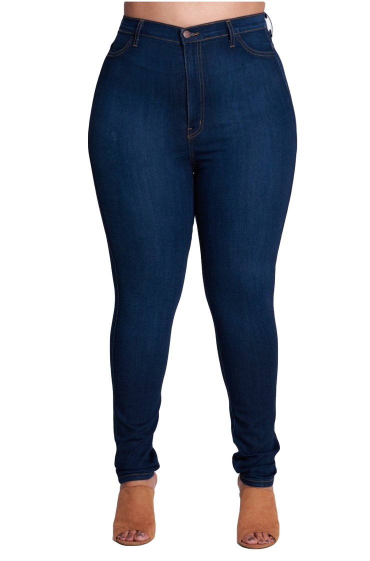{P88} Curvy Skinny Jeans - {2 colors} - The House of Stylez