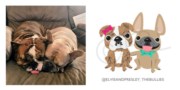 Custom French Bulldog Designs