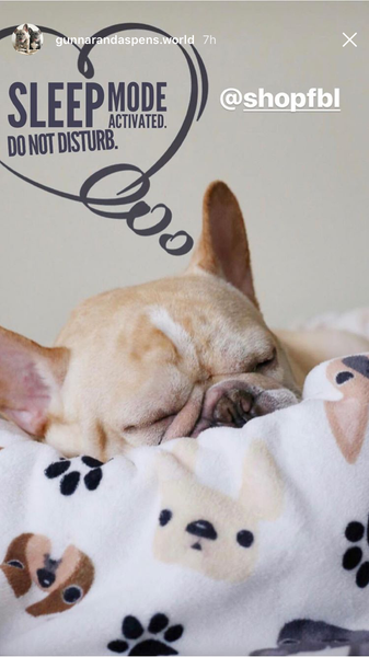 French Bulldog Love Instagram Contest