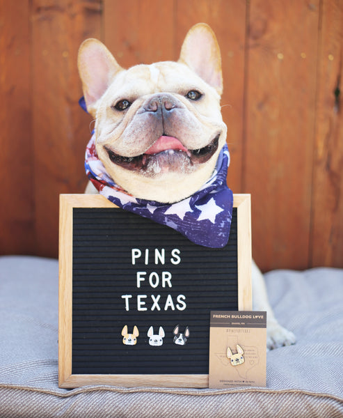 French Bulldog Pins Hurricane Harvey PinsForTexas