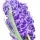 Hyacinth Fragrance Perfumes