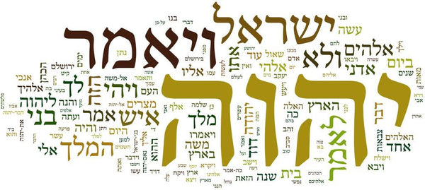 Biblical Hebrew Study Guide