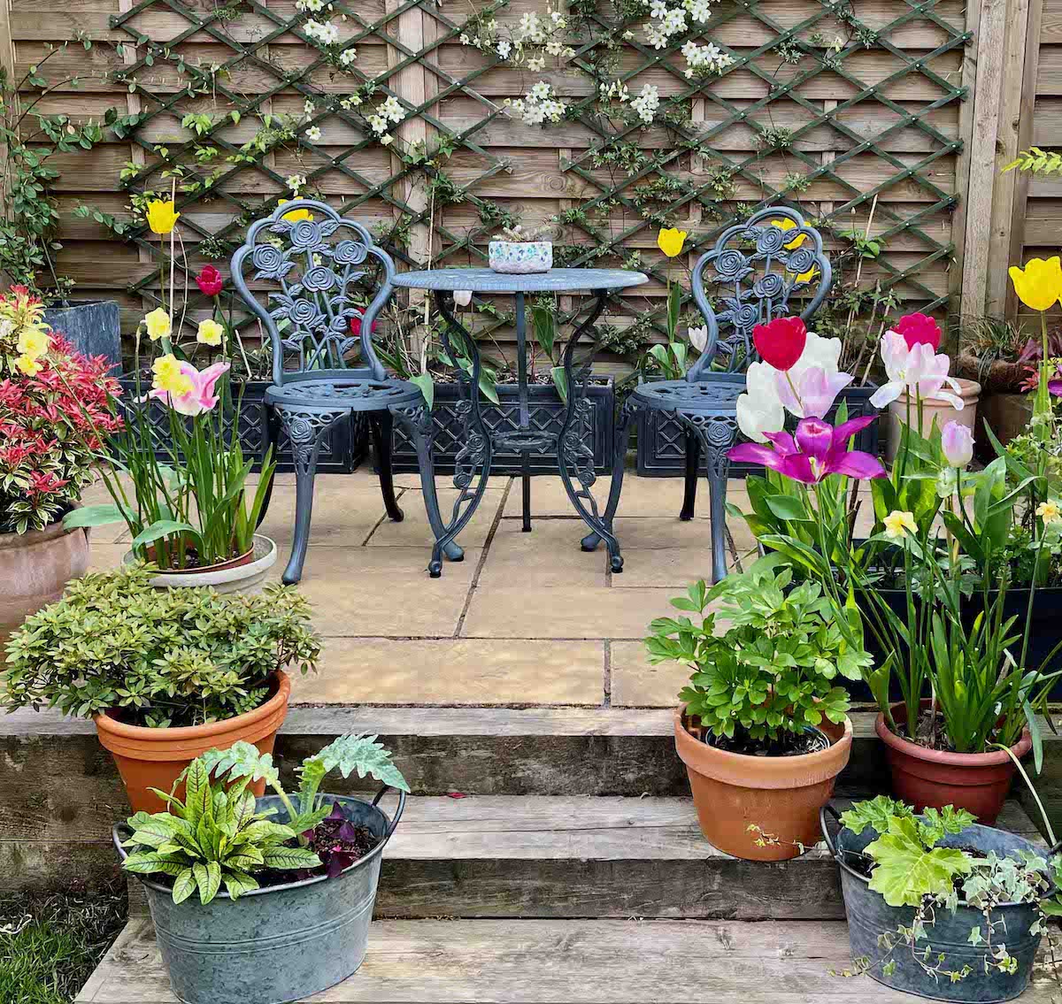 Garden Table Centrepiece | Plant practical potted herbs and plants