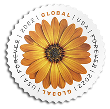 American Daisy Stamp