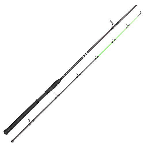 KastKing Crixus Fishing Rods, Spinning Rod 5ft 6in-Light - M Fast