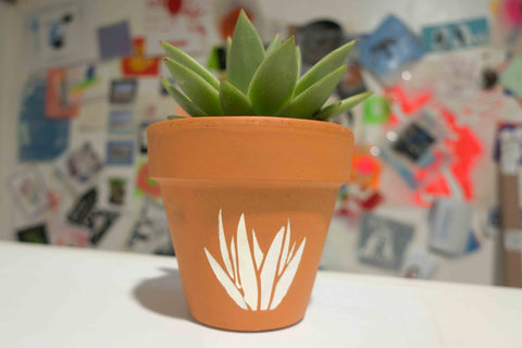 DIY Succulent Plant Pot Gift