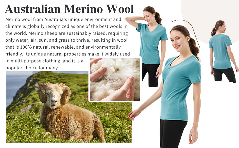 Australian 100% Merino Wool V Neck T-Shirt for Women teal