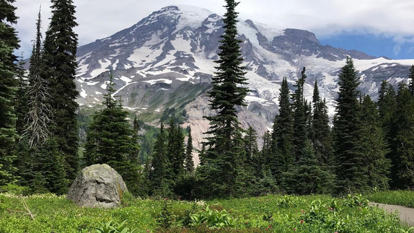 Faszinierende Ausblicke_ Nisqually Vista Trail