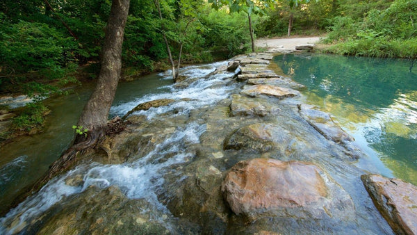 Chickasaw National Recreation Area: A Nature Lover’s Paradise