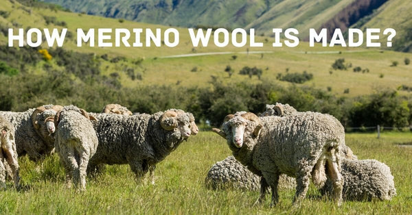 How-Merino-Wool-is-Made-merino-Protect