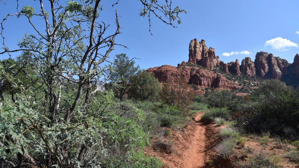 Margs Draw Trail