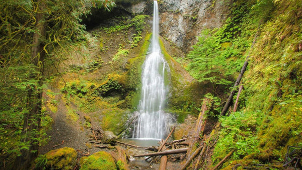 Marymere Falls Trail olympic national park