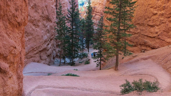 Navajo Trail in Bryce Canyon