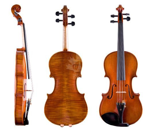 初心者 小提琴 VIOLIN