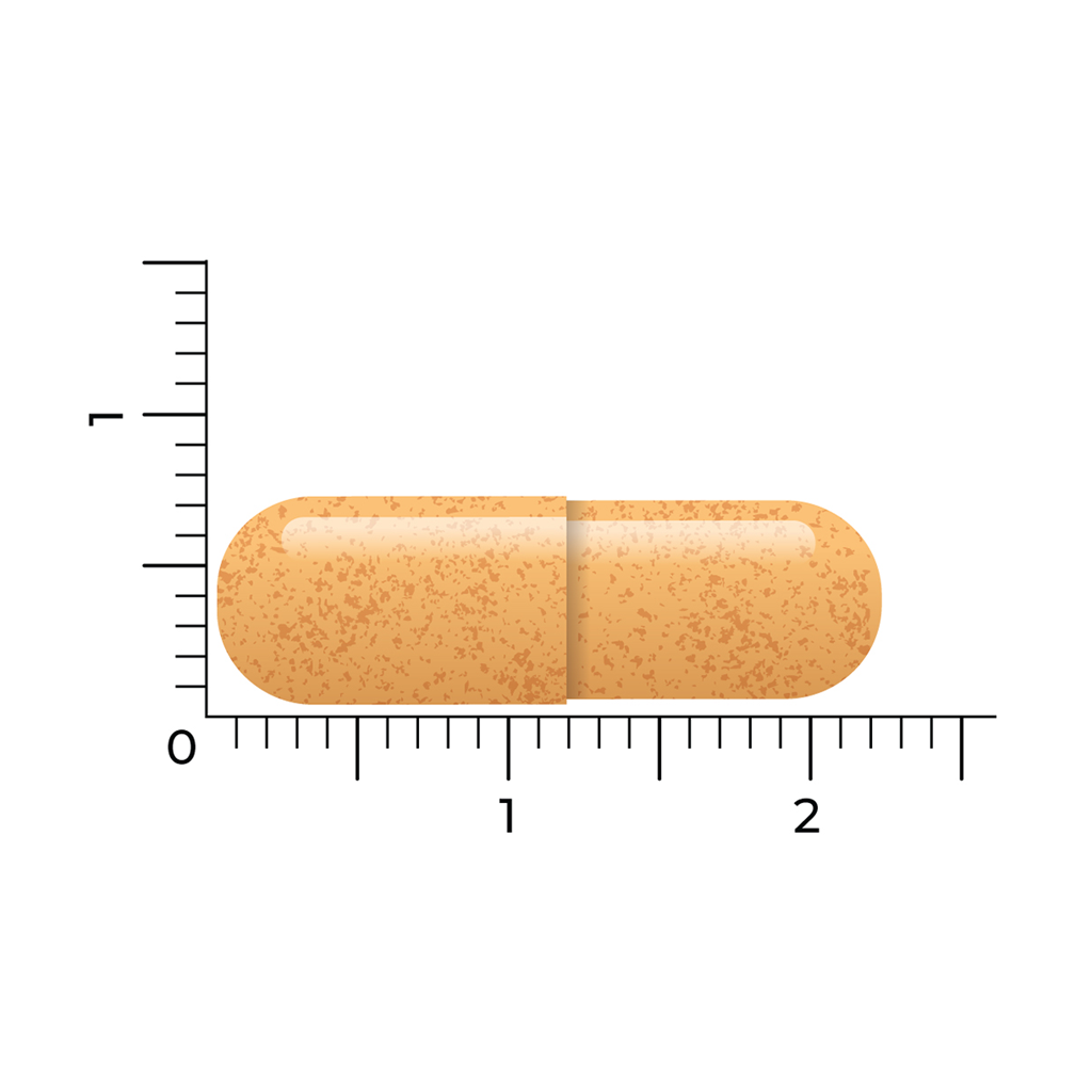 vitakruid turmeric c3 2x 60 gélules 4