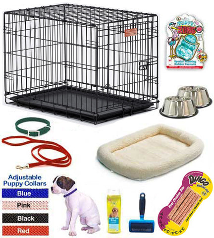 Dog Accessories - Be Cool Solutions 