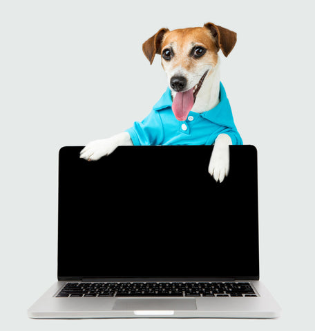 How can Pet tech assist