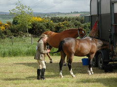 Horse shade