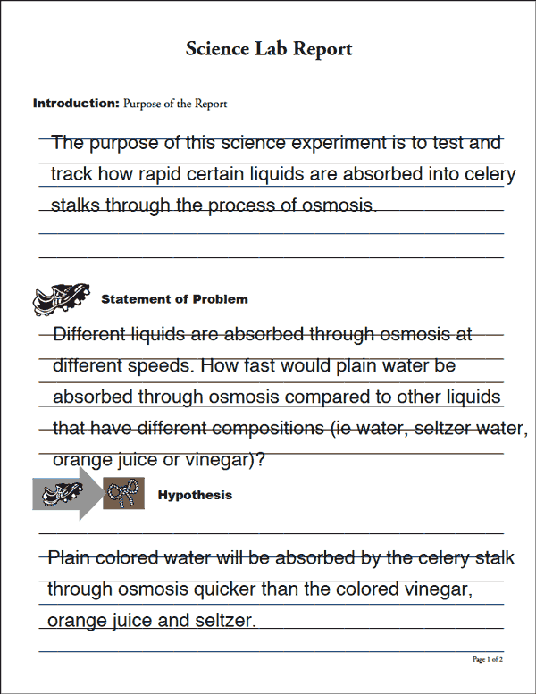 Science Project Form 1