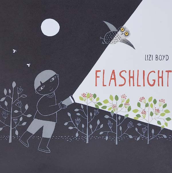 Flashlight picture book cover