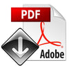 Download PDF icon