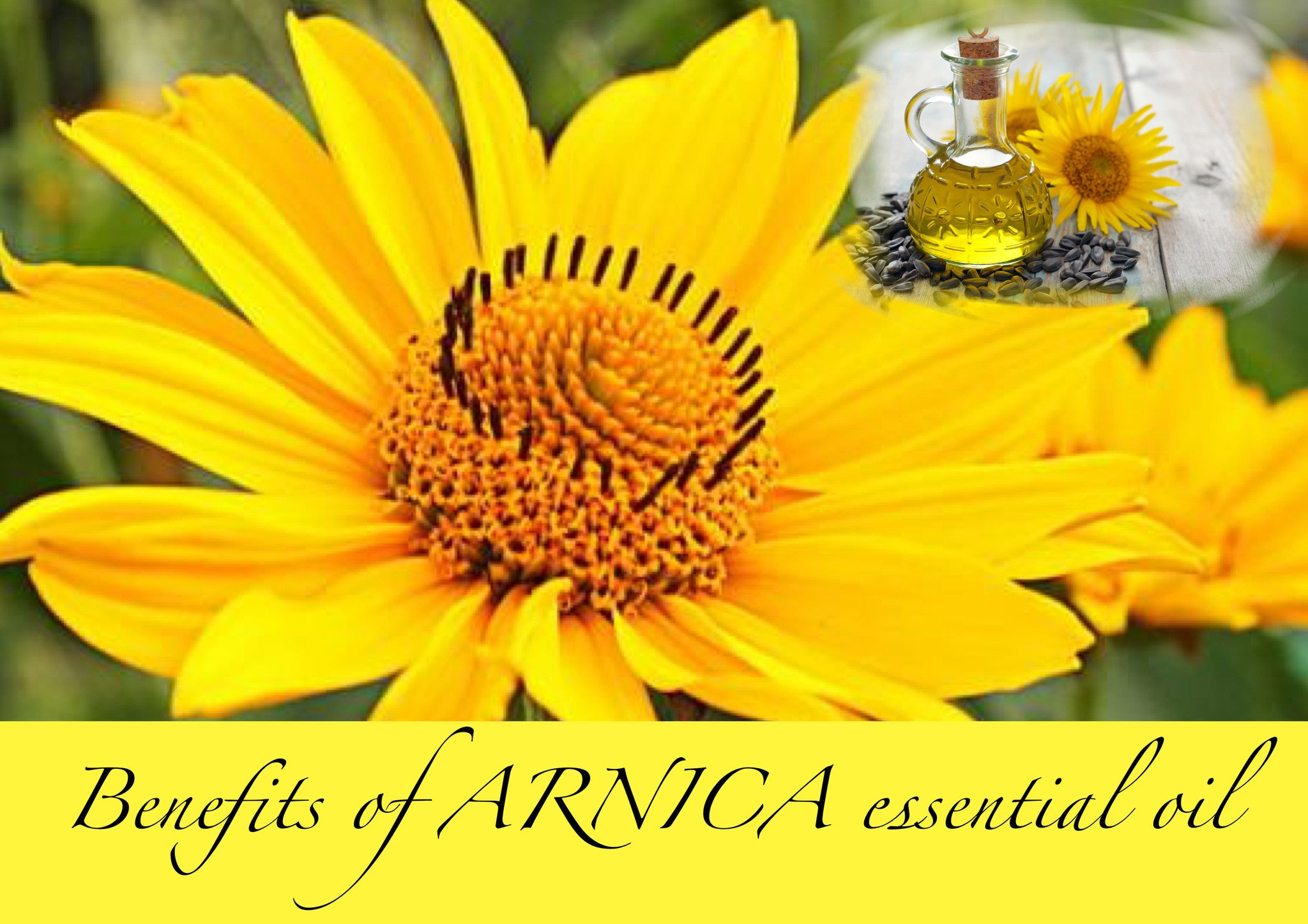 arnica essential oil