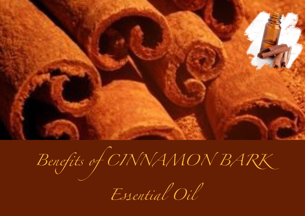 Benefits of Cinnamon Bark Essential Oil - New Life Spa