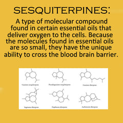 Sesquiterpenes, Monoterpenes, Phenylpropanoids. Essential Oils DO cross the Blood Brain Barrier. Use Myrrh & Frankincense to cure cancer! Aromatherapy & orally.