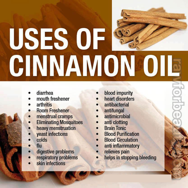 Benefits of Cinnamon Bark Essential Oil – New Life Spa