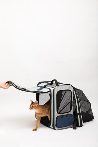 Backpack Pet Carrier | Tent Backpack - honeydewpets