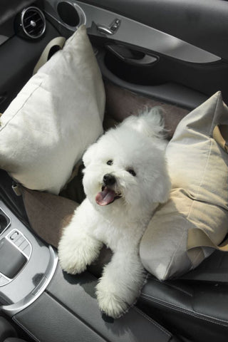 Pet Car Seat | Removable for Premium Comfort - honeydewpets