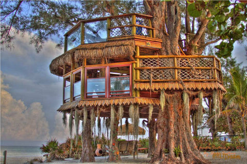 Holmes Beach tree house