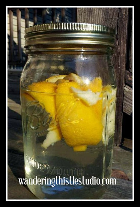 lemon vinegar wanderingthistlestudio