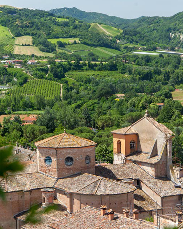 The hidden medieval village