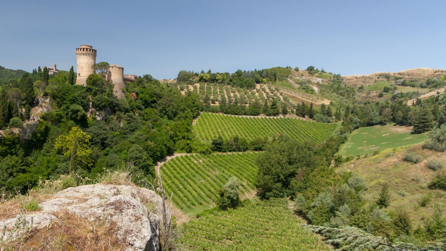 The hidden medieval village