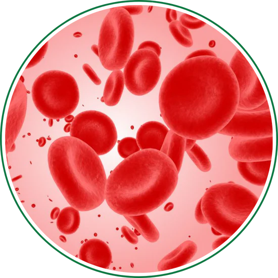 2_d276a54a-4eb5-4e26-95e5-1d26839c0d19.webp__PID:ea9ab12a-a0de-467c-9acf-58a0de31adf3