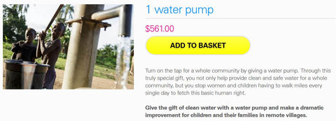 This link takes you to Unicef to purchase a water pump.