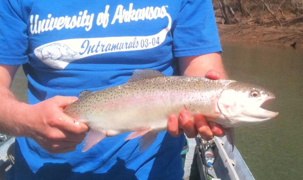 how to catch rainbow trout in fishing planet rocky lake