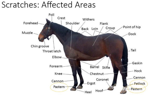 affected areas