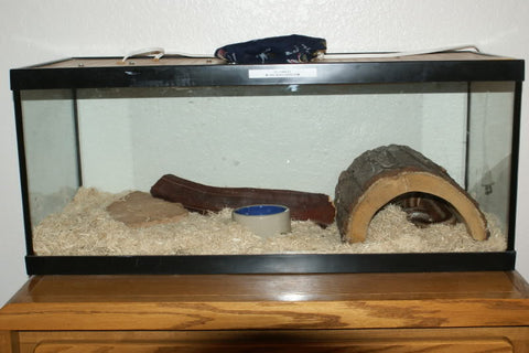 rosy boa habitat