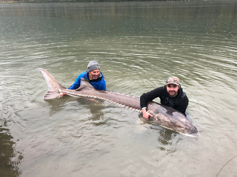 how to catch a sturgeon